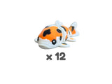 Ripple (Koi Carp)