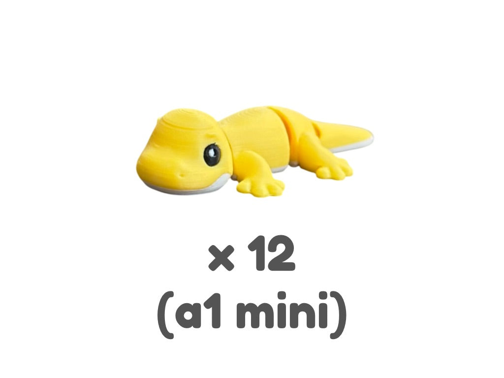 Zeko (Gecko)
